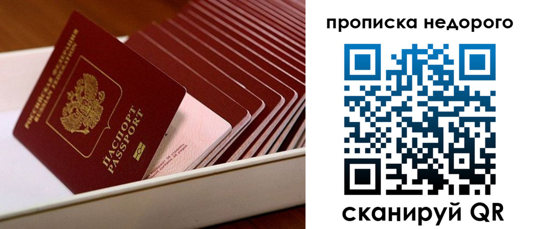 прописка паспорт в Рязани